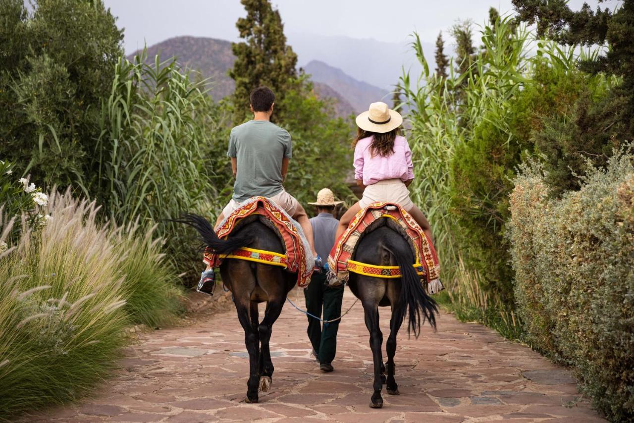 Kasbah Tamadot - Sir Richard Branson'S Moroccan Retreat Асні Екстер'єр фото